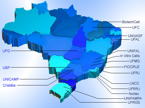 INCT-INOFAR Mapa Rede de Pesquisa